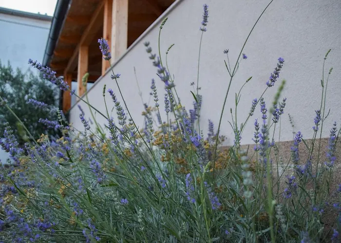 Dina 2 Апартаменты